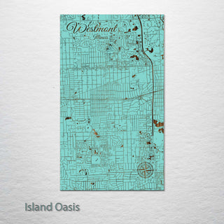 Westmont, Illinois Street Map