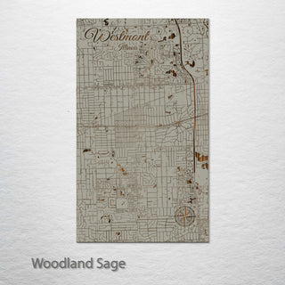 Westmont, Illinois Street Map