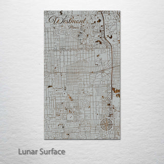 Westmont, Illinois Street Map