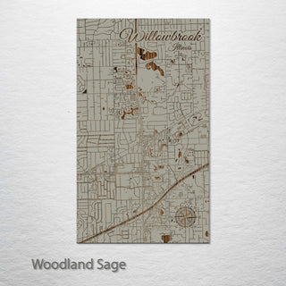 Willowbrook, Illinois Street Map