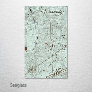 Woodridge, Illinois Street Map
