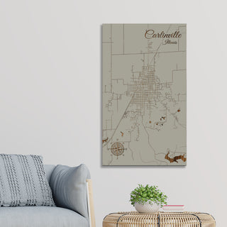 Carlinville, Illinois Street Map