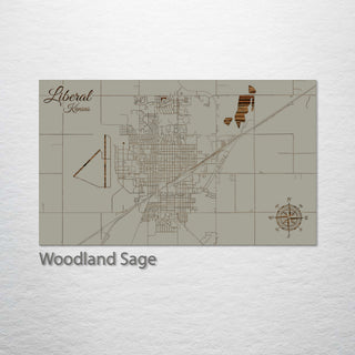Liberal, Kansas Street Map
