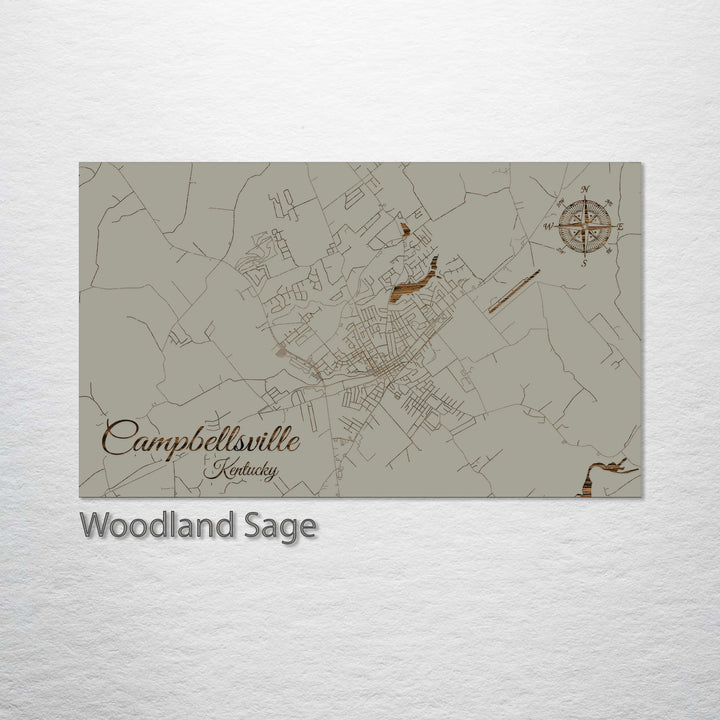 Campbellsville, Kentucky Street Map