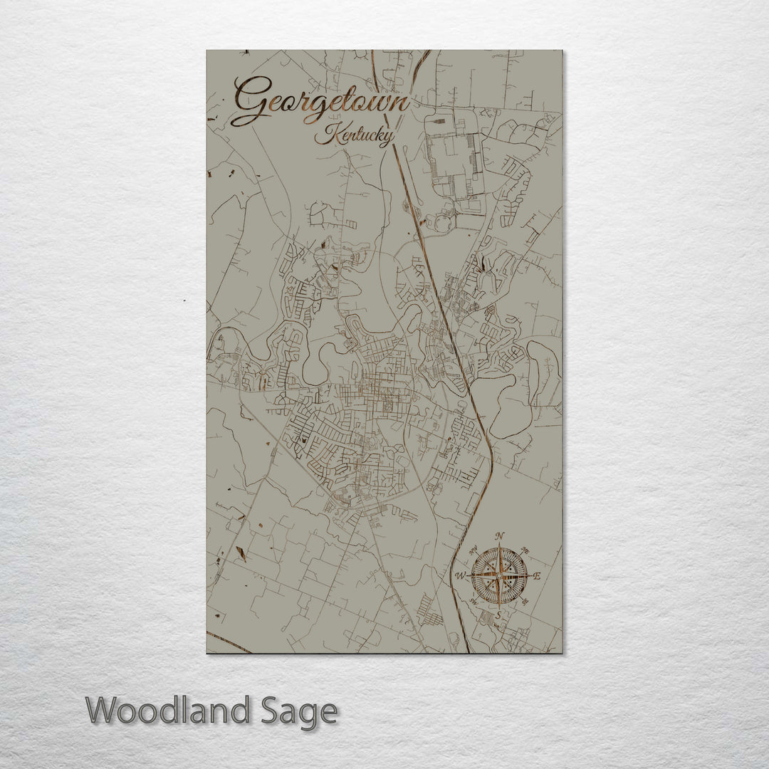 Georgetown, Kentucky Street Map