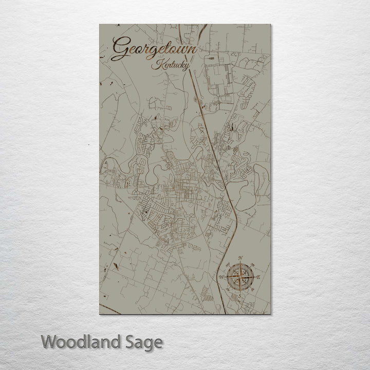 Georgetown, Kentucky Street Map
