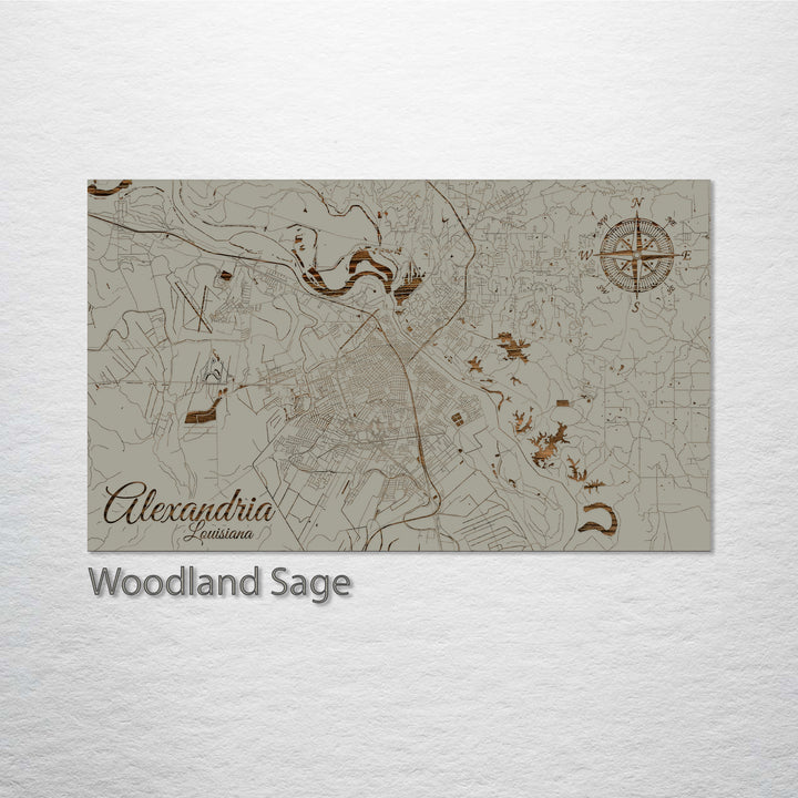 Alexandria, Louisiana Street Map