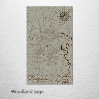 Bogalusa, Louisiana Street Map