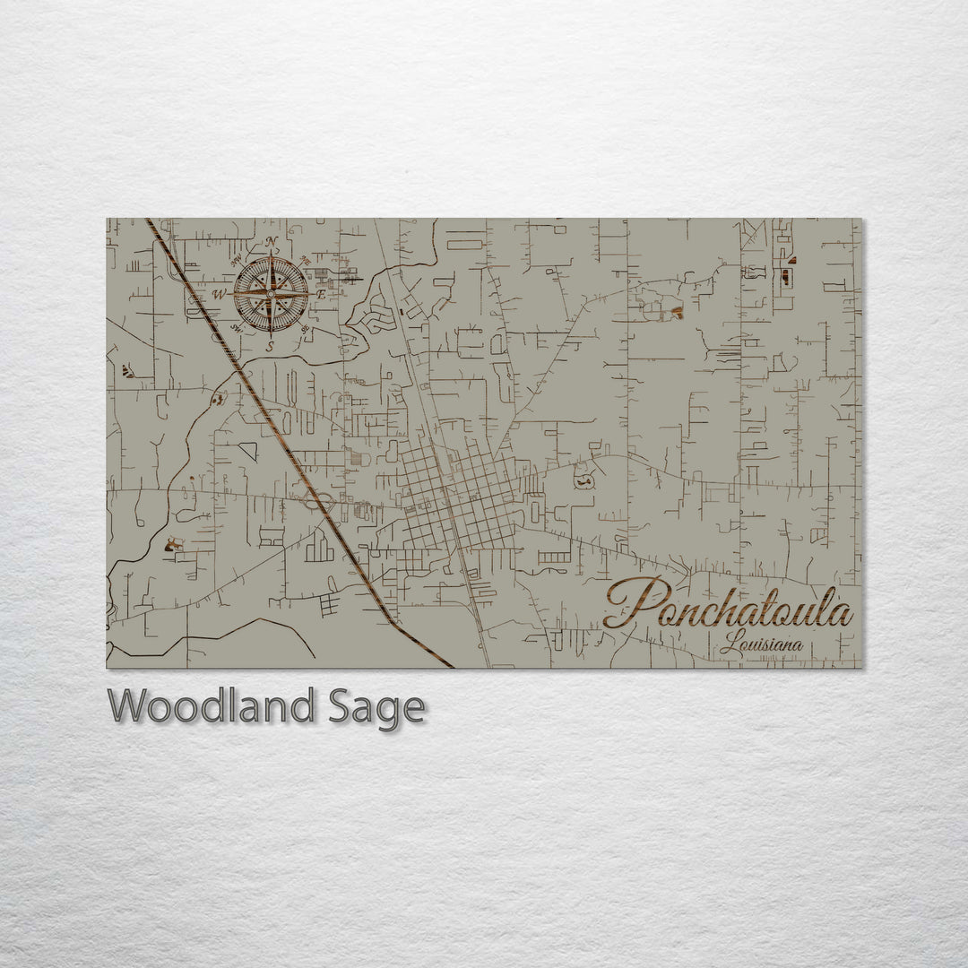 Ponchatoula, Louisiana Street Map