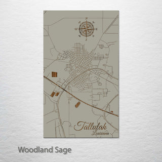 Tallulah, Louisiana Street Map
