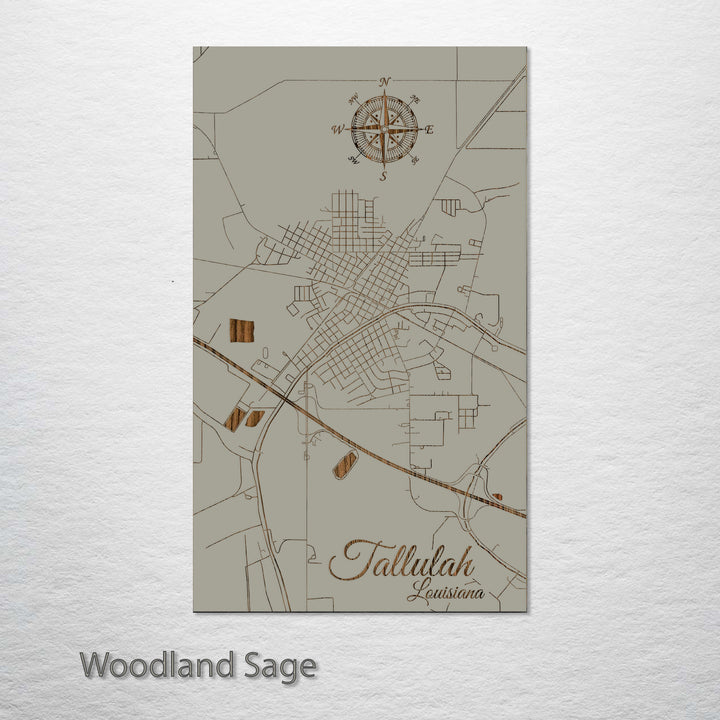 Tallulah, Louisiana Street Map