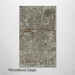 Lansing, Michigan Street Map - Fire & Pine