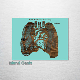 Gray's Lungs Front