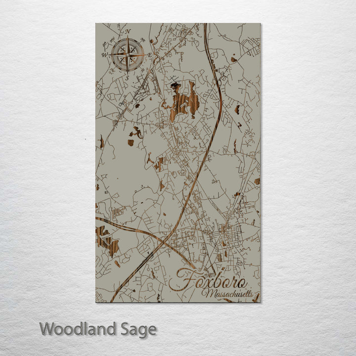 Foxboro, Massachusetts Street Map