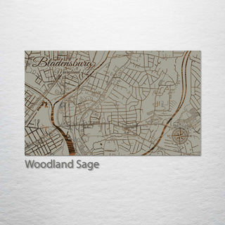 Bladensburg, Maryland Street Map