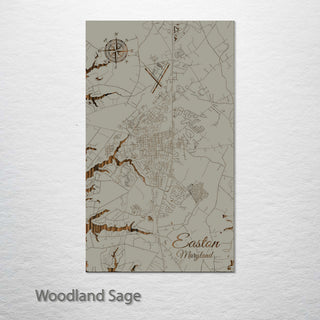 Easton, Maryland Street Map