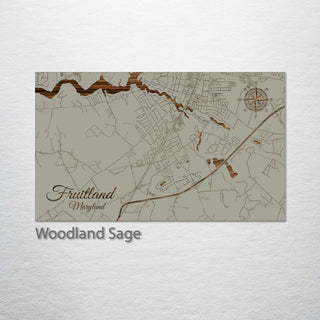 Fruitland, Maryland Street Map