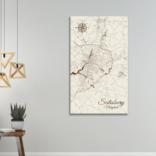 Salisbury, Maryland Street Map