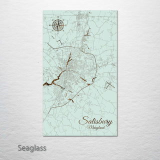 Salisbury, Maryland Street Map