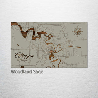 Allegan, Michigan Street Map