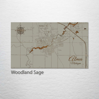 Alma, Michigan Street Map
