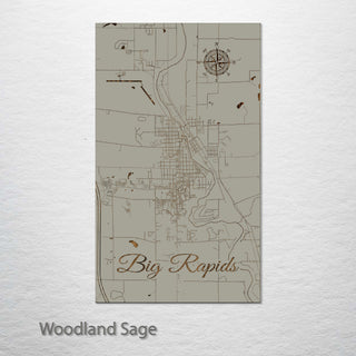 Big Rapids, Michigan Street Map