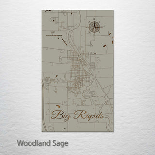 Big Rapids, Michigan Street Map
