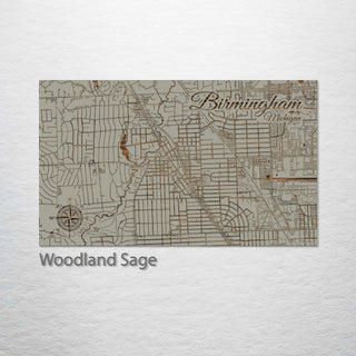 Birmingham, Michigan Street Map