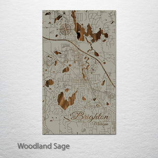 Brighton, Michigan Street Map