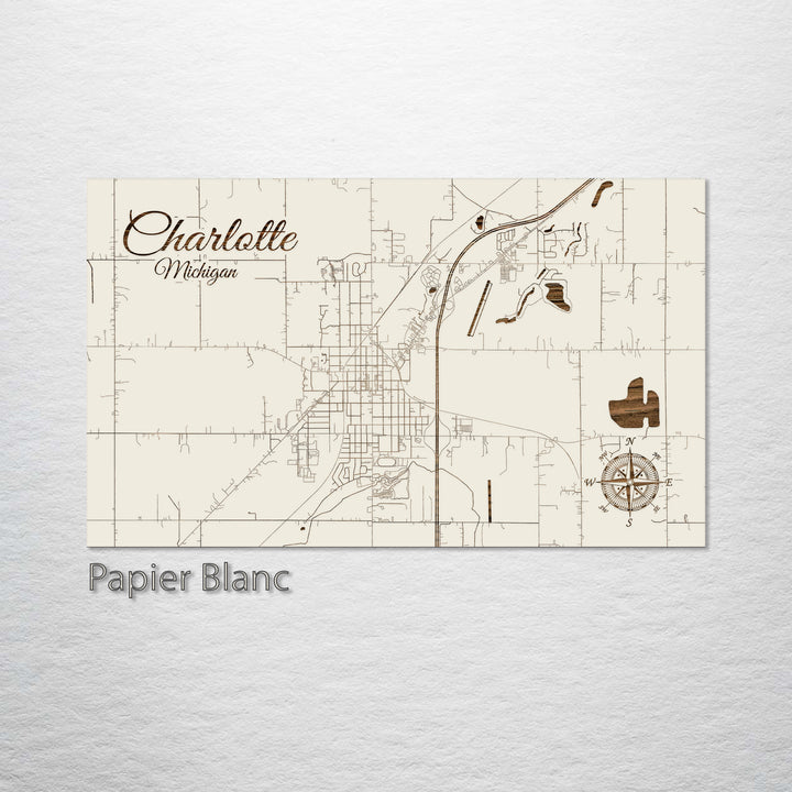 Charlotte, Michigan Street Map