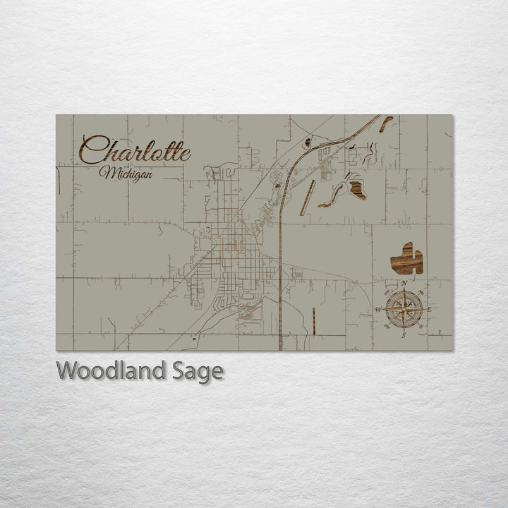 Charlotte, Michigan Street Map