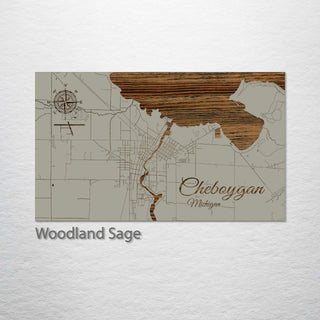 Cheboygan, Michigan Street Map