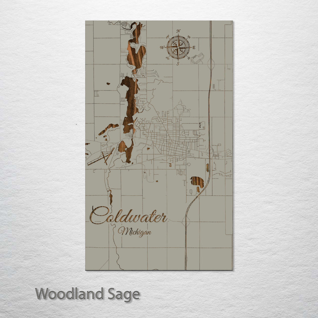 Coldwater, Michigan Street Map