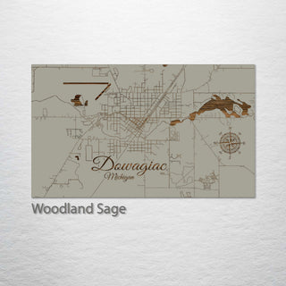 Dowagiac, Michigan Street Map