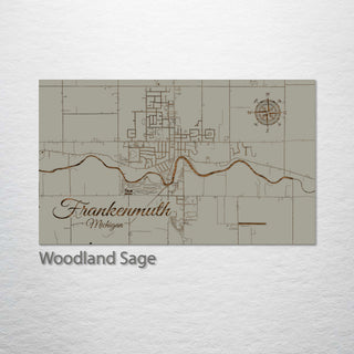 Frankenmuth, Michigan Street Map