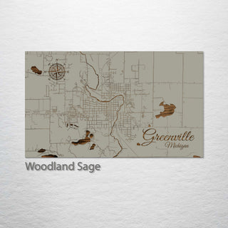 Greenville, Michigan Street Map