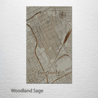 Hamtramck, Michigan Street Map