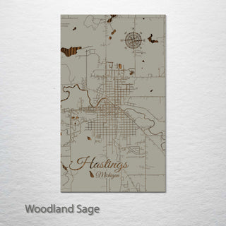 Hastings, Michigan Street Map