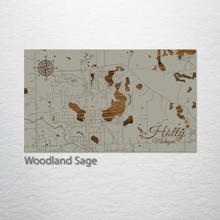 Holly, Michigan Street Map