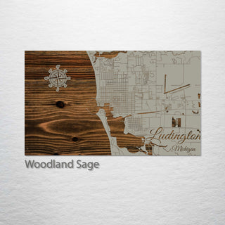 Ludington, Michigan Street Map