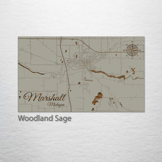 Marshall, Michigan Street Map