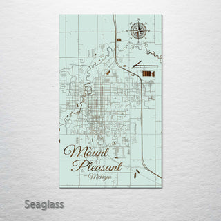 Mount Pleasant, Michigan Street Map