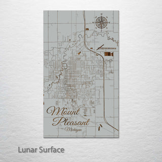 Mount Pleasant, Michigan Street Map