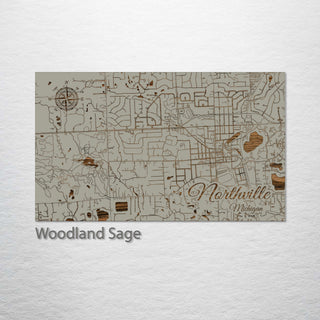 Northville, Michigan Street Map