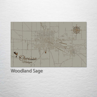 Owosso, Michigan Street Map