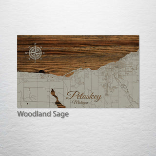 Petoskey, Michigan Street Map