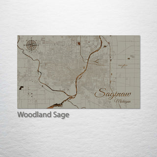 Saginaw, Michigan Street Map