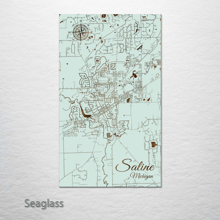 Saline, Michigan Street Map