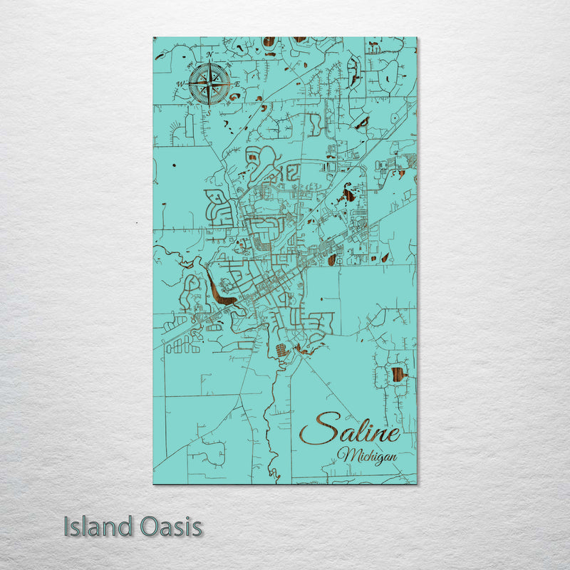 Saline, Michigan Street Map Fire & Pine