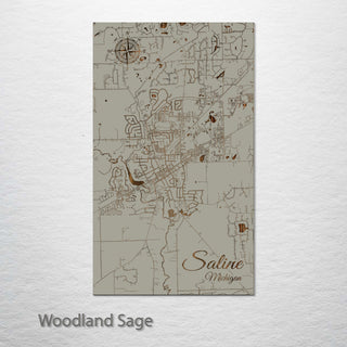 Saline, Michigan Street Map